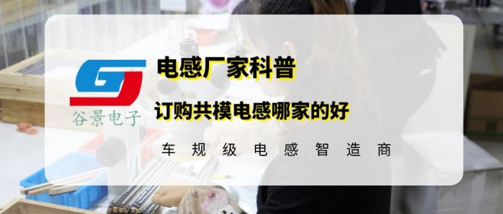 蘇州谷景電子有限公司 1