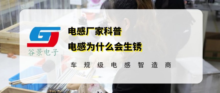 蘇州谷景電子有限公司 1