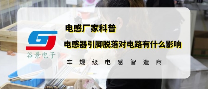 蘇州谷景電子有限公司 1